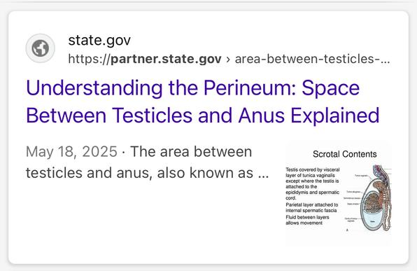 "Understanding the Perineum: Space Between Testicles and Anus Explained"