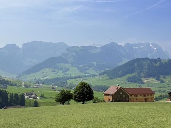 traditionelles bauernhaus mit zwei laubbäumen. dahinter die berge