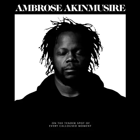 On the Tender Spot of Every Calloused Moment by Ambrose Akinmusire LP cover