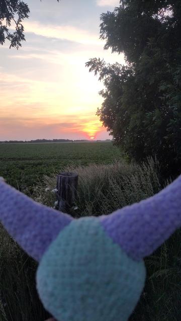 Keule bei Sonnenuntergang