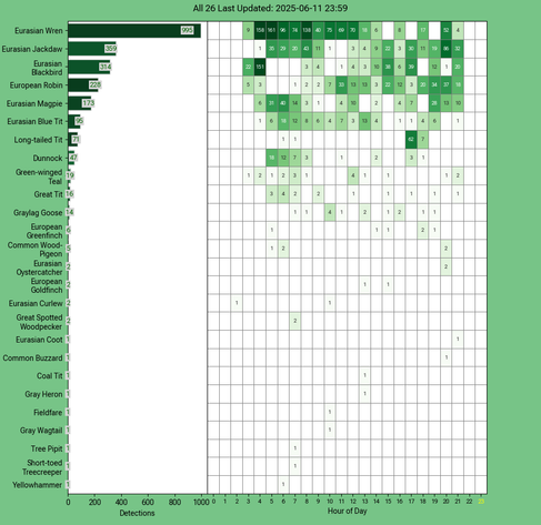 Today's top 20 bird chart