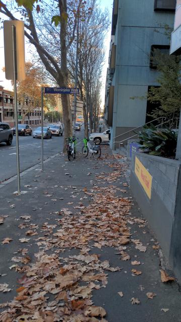Three bike share bikes, two near a tree where people don't walk, the third diagonally blocking most of the functional footpath.