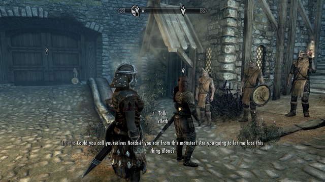 Player standing behind Irileth of Whiterun. She is speaking to her city guard troops