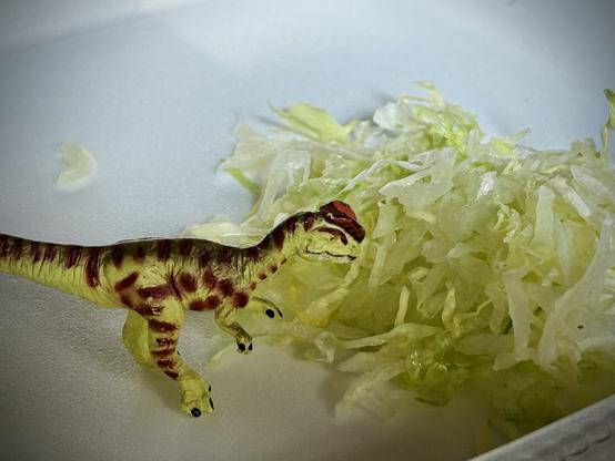 A green Dilophosaurus with brown spots stands before a pile of green shredded lettuce atop a white container. They don't seem very amused.