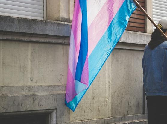 A transgender pride flag draped against the wall of what looks like a government building