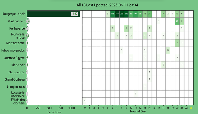 tableau récapitulatif des chants d'oiseau captés aujourd'hui dans mon jardi