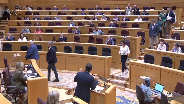 El senador és secretari general del PP de Madrid, presidit per Isabel Díaz Ayuso (Senat)
