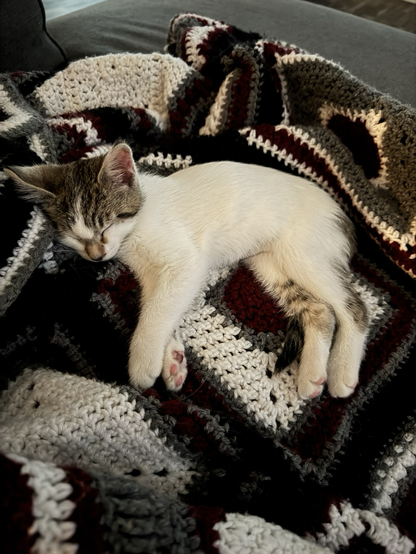 Kiki sleeping on one of my crochet blankets
