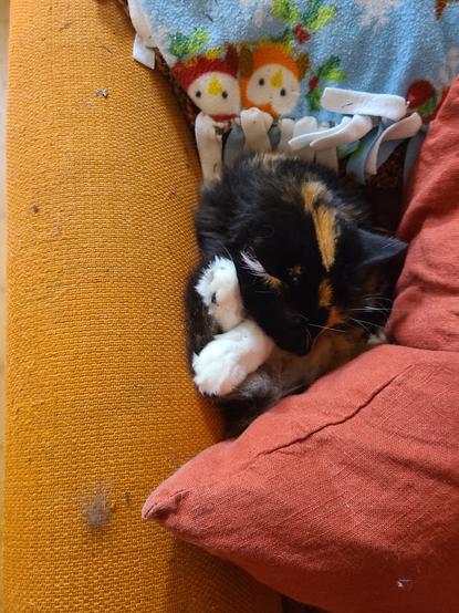 a calico cat curled up between the arm of a pumpkin colored sofa and a coral orange pillow. her white paws stick out from the ball she has made of herself by sinking down between the pillow and the sofa arm