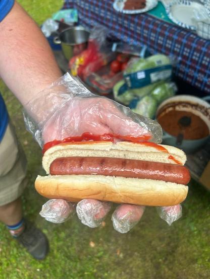 Gloved hand holding a hot dog, with a stripe of ketchup on the glove except for a small bit on the bun, the stripe being roughly parallel to the sandwich.