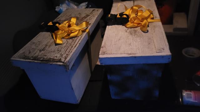 Two bee nucs in the back of a car, one with a white lid and another blue. One white box and one camo box. Both secured with straps