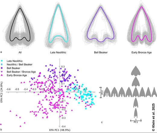 AutArch kann auch die Umrisse von Artefakten aus Katalogen extrahieren, beispielsweise von Pfeilspitzen. Auf diese Weise ermöglicht die Software verschiedene Formanalysen. (© Klein et al. 2025)