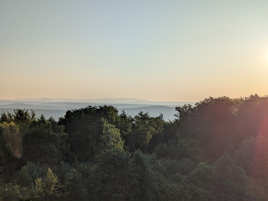 Blick aus der Höhe über den bewaldeten Spessart. Am Horizont sieht man Hügel. Die Lichtstimmung lässt einen frühen Morgen und Sonnenaufgang erahnen.