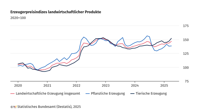 Liniendiagramm mit dem Titel "Erzeugerpreisindizes landwirtschaftlicher Produkte (2020=100)"

Das Diagramm zeigt die Entwicklung der Erzeugerpreisindizes für landwirtschaftliche Produkte in Deutschland von 2020 bis 2025. Drei Linien sind dargestellt:

Rote Linie: Landwirtschaftliche Erzeugung insgesamt
Blaue Linie: Pflanzliche Erzeugung
Dunkelblaue Linie: Tierische Erzeugung

Die Preisindizes sind auf den Wert 100 im Jahr 2020 normiert. Alle drei Linien zeigen zwischen 2020 und 2022 einen deutlichen Anstieg. Die pflanzliche Erzeugung (blaue Linie) weist dabei die größten Schwankungen auf. Im Jahr 2023 erreichen alle Indizes einen Höchststand und fallen anschließend leicht, bevor sie gegen Ende des dargestellten Zeitraums (2025) erneut steigen. Die Skala auf der rechten Seite reicht von 75 bis 175 Punkten.

Quelle: © Statistisches Bundesamt (Destatis), 2025