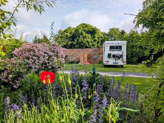 Gartenszene. Im Vordergrund eine Mohnblume - im Hintergrund unser Wohnmobil vor einer alten Mauer