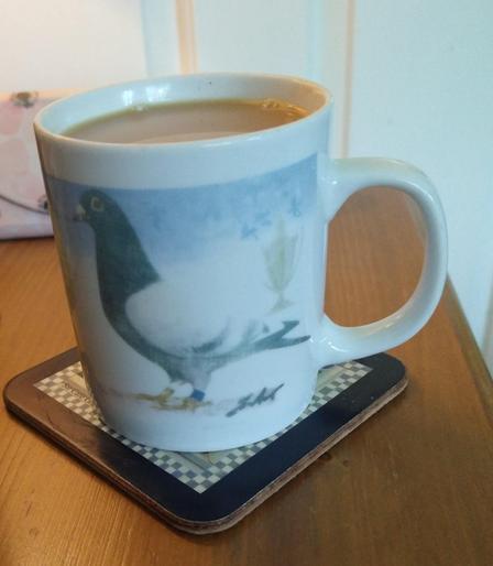 Mug of tea on a bedside cabinet with a picture of a racing pigeon