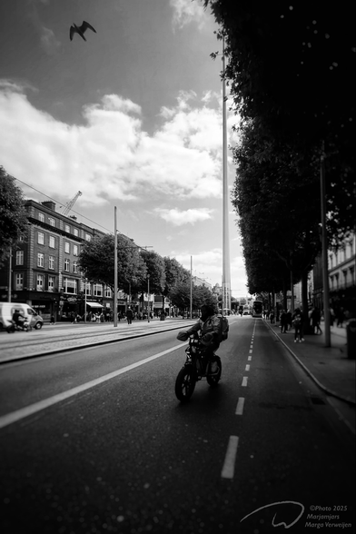 O'Connell Street, Dublin: a fat bike may be fast, ideal for quick deliveries, but the seagull still flies ahead of the cyclist at high speed.