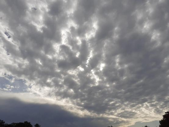 Ciel pommelé
