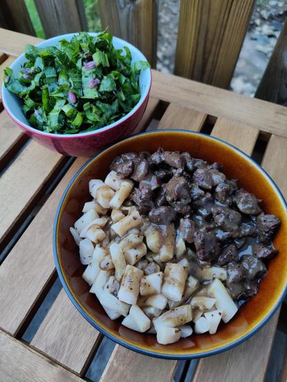 A flat brown bowl filled half with a dark brown bear stew and half with chunks of black salsify root, which is white after peeling. Another bowl to the left is red and filled with salad. Both bowls are standing on a surface of wooden slats.