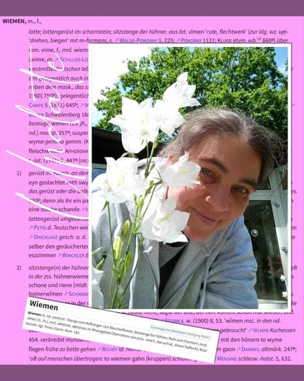 Frau hinter weißer Glockenblume. Im Hintergrund eine Textcollage als Dekoration. Stichworte: Update, Wiemen