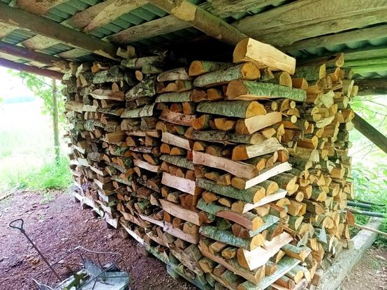 Firewood storage lean-to, with seven rows of split logs stacked on top of concrete beams lifting it off the ground. A small cart stands on the left. The ground is dirt and woodchips. The light shines through some grapes someone tried to guide around the lean-to.