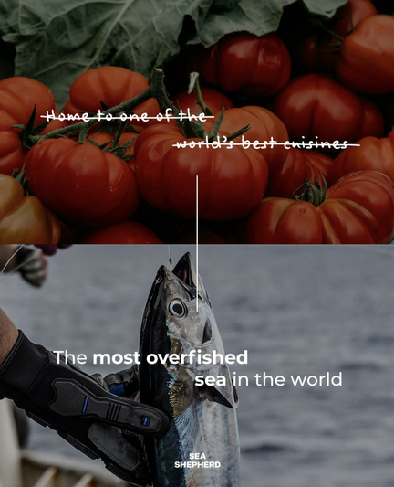 Crossed out letters say ,home to one of the best cuisines of the world’ photo with large tasty looking tomatoes; photo below shows fish