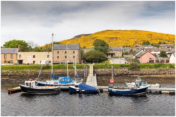 A serene harbor scene featuring several boats moored at a wooden dock. In the background, colorful buildings line the shore, with a hillside covered in vibrant yellow gorse flowers. The sky is partly cloudy, creating a tranquil atmosphere.