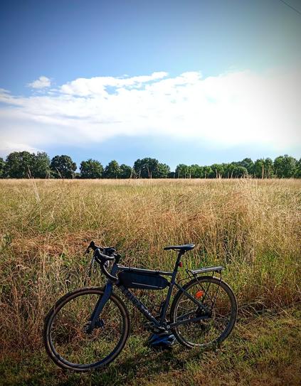 My bike standing in front of a field of yellowish grass. A line of trees in the background. The sky is white and blue.