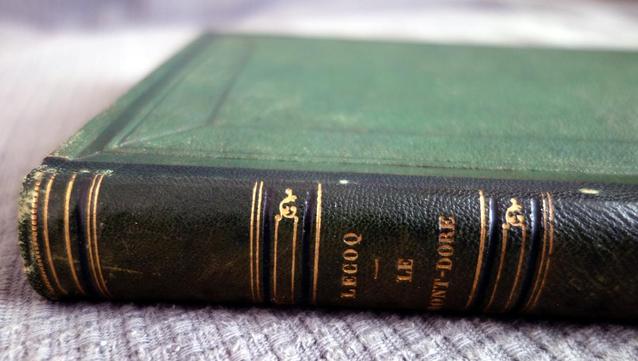 Photo de la tranche d'un livre d'Henri Lecoq sur le massif des monts Dore.