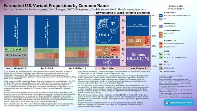 Chart: Est. U.S. Variant Proportions by Common Name
Sources: CDC, Cov-Lineages, NYITCOM, others

[ beadsland on Ko-fi ]

Reskin of CDC's Variants Nowcast, and any significant variants in GISAID not broken out by CDC.

Five bar-style tree-charts, for fortnights through 5/25–6/7. Legend of last fortnight, organized by subheadings of color-grouped families and convergent clusters. Percentages overlay each color key, reflecting share as of most recent tree-chart.

WHO-Vaccine-Target JN.1 accounts for over three fifths. JN.1.11 for over two fifths.

For 5/11–5/24, packed bubble charts fill single-variant tiles, reflecting GISAID detail not shown by CDC's Nowcast.

Legend:

JN.1.11 + FLiRT31 [blues]:
38% - LP.8.1.1 / NY† & other FDA-Vaccine-Target LP.8.1
⅛% - XEK

Omicron-2 BA.2 [purple]:
37% - Nimbus NB.1.8.1 / PQ

LF.7 + NTD-meets-RBD [browns]:
8% - XFG.2† & other XFG
7% - XFC

JN.1 + FLiRT-LF-7 [reds]:
5% - LF.7.7.2, LF.7.9.1 / PY† & other LF.7.9
1% - LF.7.7.1 / PV & other LF.7

JN.1.11 [greens]:
⅜% - KP.3 & XEQ
1% - PA.1, MC.10.1, MC.1 & other KP.3.1.1 / MC

Other [greys]:
½% - LB.1.3.1 / NL
2% - XEC.4 & other XEC
0% - Other (not specified)
_____

Nimbus NB.1.8.1 / PQ is a scion of left-field Razor-Blade-Throat XDV.

Razor-Blade-Throat XDV was a child of Winter 2024's WHO-Vaccine-Target JN.1 and left-field recombinant XDE.

XDE was a child of left-field Hyperion grandkid FL.13.4 and left-field Hippogryph scion GW.5.1.

[Some footnotes omitted, due to too many recombinants.]