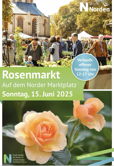Plakat zum Rosenmarkt mit bunten Fotos mit blühenden Rosen und Besuchern