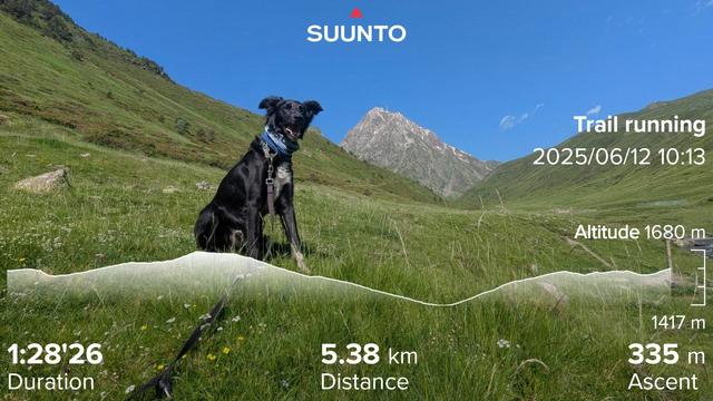 Paddy the Irish mutt sitting in the grass, with Pic du Midi (2877m) in the background, not as much snow as the last time I visited, blue skies and my running stats imprinted on top