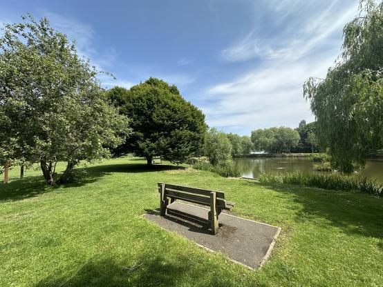 A peaceful park scene with a wooden bench facing a calm pond, surrounded by lush green trees under a bright blue sky.