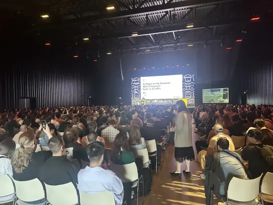 View from behind the audience over the audience.
