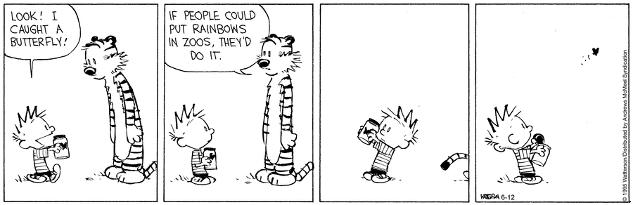 Calvin holds up a jar and shows Hobbes, "Look!  I caught a butterfly!"  Hobbes says, "If people could put rainbows in zoos, they'd do it."  He leaves and Calvin ponders what he said for a while.  He then takes the lid off the jar and allows the butterfly to escape.