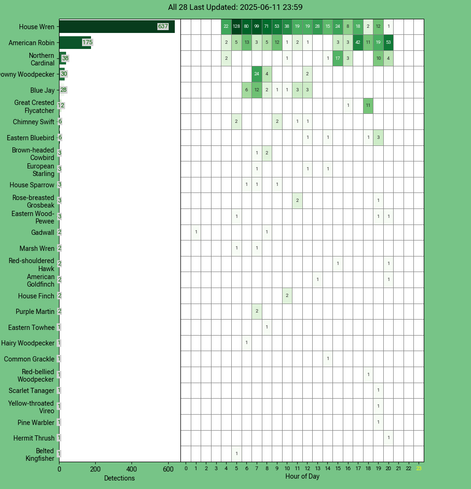 Chart generated by BirdNET-Pi with rows of all detected birds for Wednesday, June 11, 2025 in decending order.  The first large column displays a bar chart of relative frequency; the 24 reamaining columns create cells with the bird count for each hour of the day shaded by relative count.