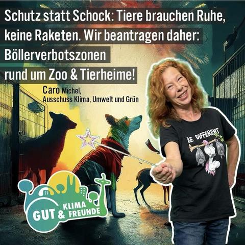 Das Bild zeigt eine Frau mit roten Haaren, die lächelnd in die Kamera blickt. Sie trägt ein schwarzes T-Shirt mit der Aufschrift "BE DIFFERENT" und einem Cartoon-Design von Fledermäusen. Im Hintergrund ist eine illustrative Darstellung von Tieren, darunter ein Hund und ein Reh, die in einem Zoo- oder Tierheim-Gefängnis stehen. Die Szene ist farbenfroh und zeigt eine magische Stimmung mit einem Stern. Der Text auf dem Bild lautet: "Schutz statt Schock: Tiere brauchen Ruhe, keine Raketen. Wir beantragen daher: Böllerverbotszonen rund um Zoo & Tierheime!" Darunter steht "Caro Michel, Ausschuss Klima, Umwelt und Grün" und das Logo "GUT & KLIMA FREUNDE".