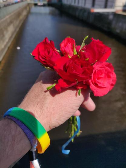 A photo of a hand holding a small bouquet of red roses. On the arm of whomever is holding the flowers is a rainbow bracelet and an unidentified festival type bracelet. The background is an unidentified city canal, out of focus.
