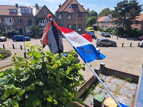 Nederlandse vlag met 2 tassen (roze en blauwe) want Julia en Daan zijn geslaagd voor hun CSE