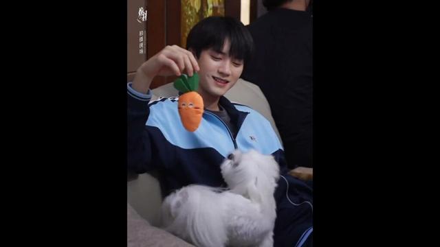 It's hard not to be moved by such a sweet smile😍😍 #reborn #焕羽 #zhouyiran #zhangjingyi #cdrama