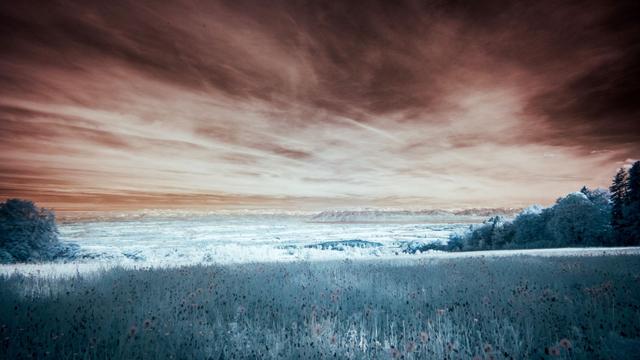 Herbe bleue et ciel en feu. (Photo infrarouge)