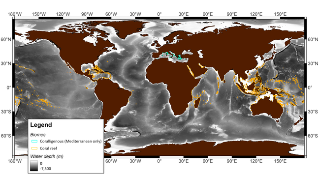 Distribution of coral reefs (orange, 2018 data) and coralligenous (turquoise, 2023 data) in the world's seas.