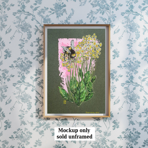 A small drawing of a garden bumblebee sitting on yellow cowslip flowers with a pink background. The drawing is on dark green paper.
Garden bumblebees are common across the UK. They have distinctive white tails and long faces that hold a tongue that's used to reach the nectar at the bottom of deep florets. Cowslips are one of their favourite sources of nectar.
An original art work
Colour pencil and mixed media on acid free toned artist paper
5 by 7 inches (12.7 by 17.8 cm).
Sold unframed