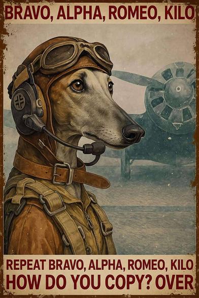 poster w/dachshund as WWII fighter pilot