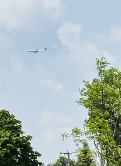 Un avion traverse le ciel ennuagé au-dessus des arbres montréalais.