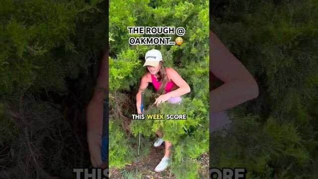 The￼ rough this week at Oakmont is an absolute hazard #golf #golfgirl #golfhumor #usopen #usga