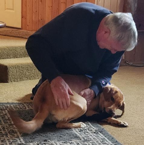 Gray haired man in a blue sweatshirt is on his knees on the floor hugging and playing with a golden lab. They are making happy noises.