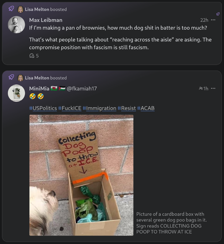 Two boosted posts, one comparing dog poop in brownie batter and compromise with fascists and asking how much is okay, and the other is a picture of a small cardboard box with a sign asking for dog owners to donate their (bagged) dog poop to throw at ICE.