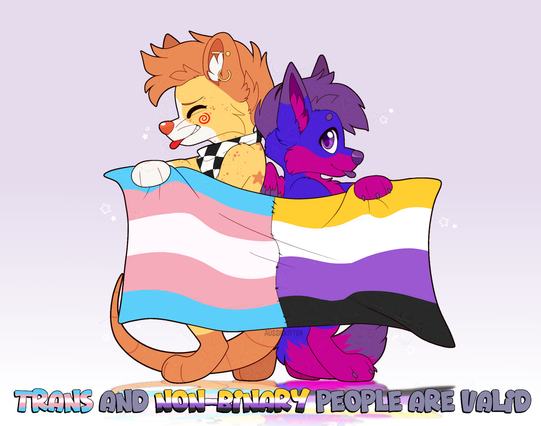 Two furries, a ginger, yellow and white mouse and a purple and pink fox/cat each holding a pride flag banner, the half near the mouse being the trans flag, and the other half near the cat/fox being the non-binary flag.  Text at the bottom says: 'Trans and non-binary people are valid'