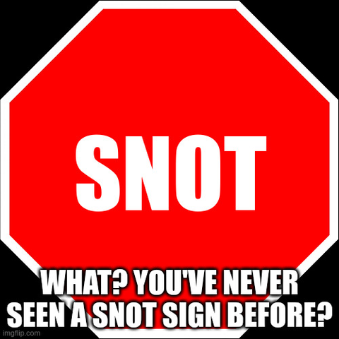 A red octagonal sign that says "SNOT".

Caption: "What? You've never seen a snot sign before?"